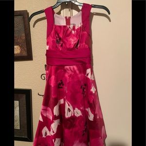 Pretty In Pink Dress